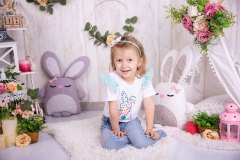 Dimi-8055